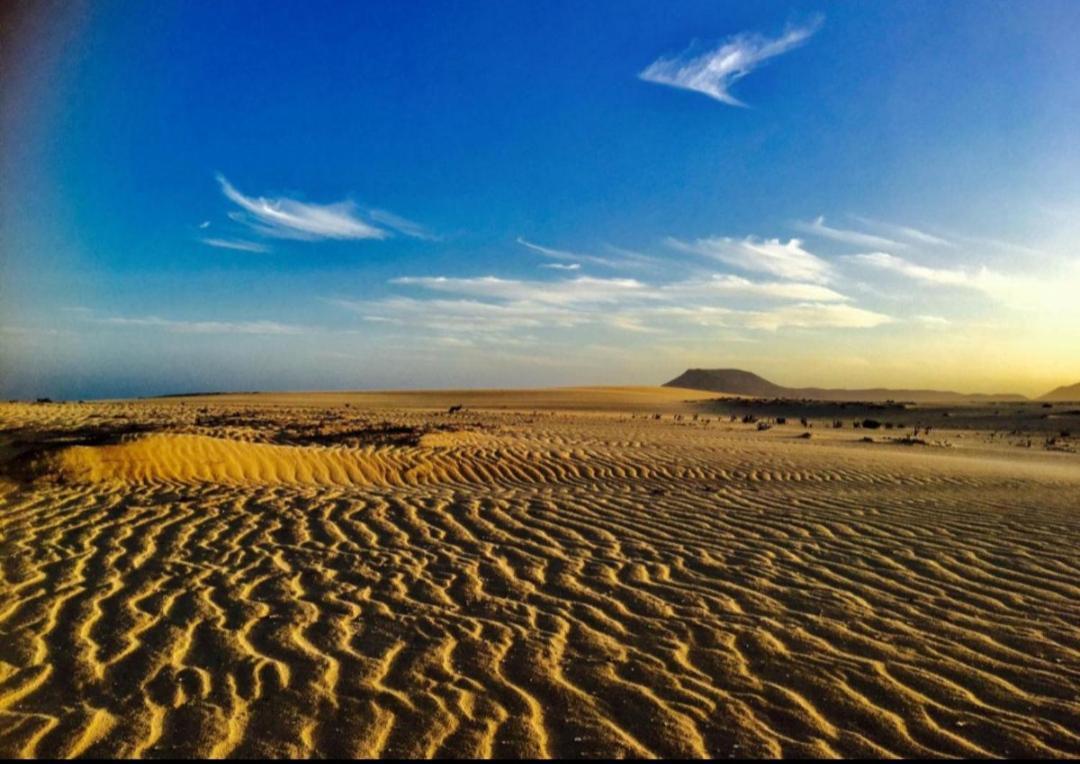 Desert Of Love กาเลตาเดฟุสเต ภายนอก รูปภาพ
